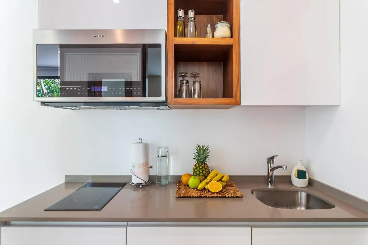 Apartment Panoramic By Alegria Rentals And Sandy Powerful Tulum Mexico