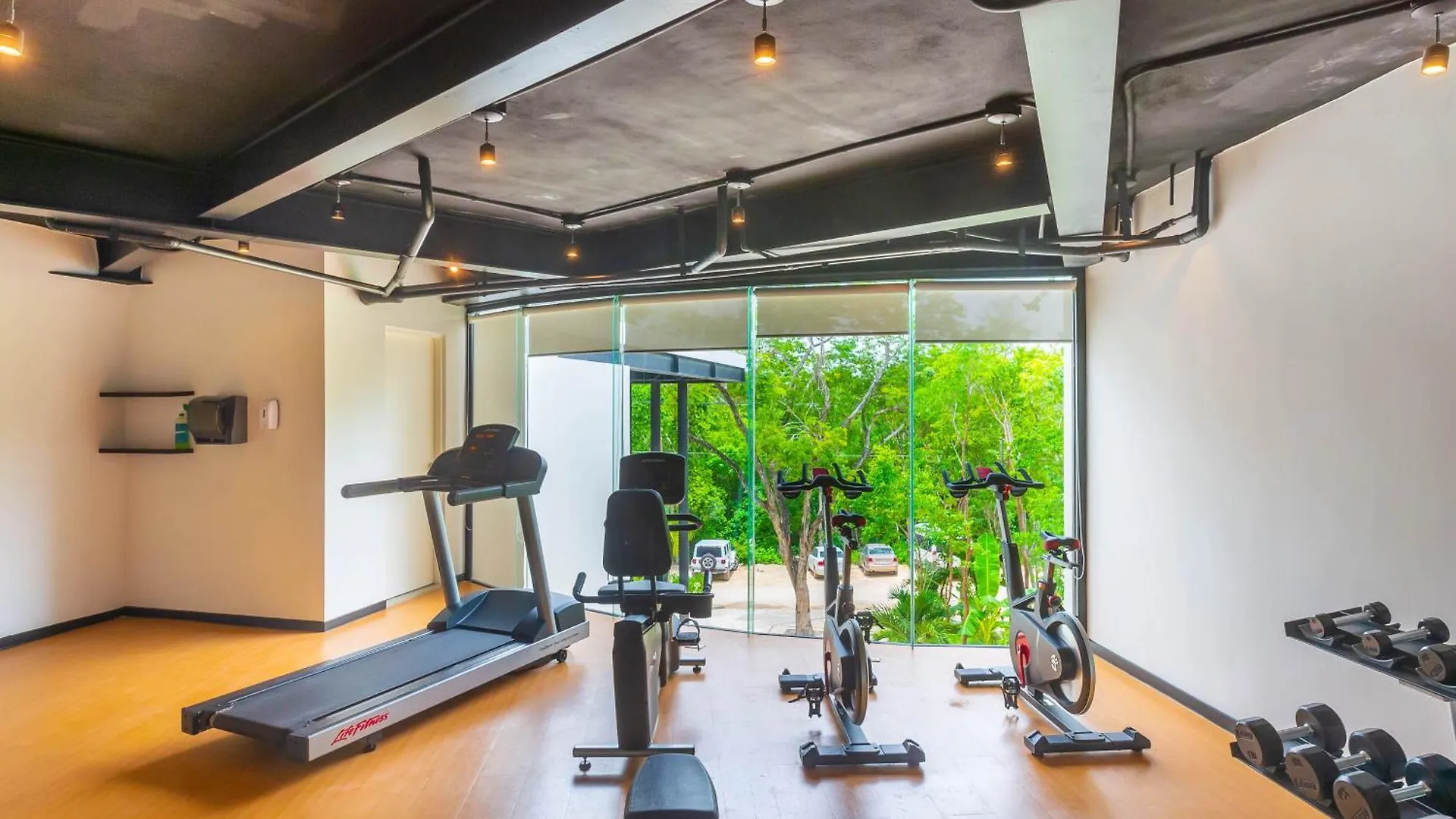 Panoramic By Alegria Rentals And Sandy Powerful Tulum Apartment
