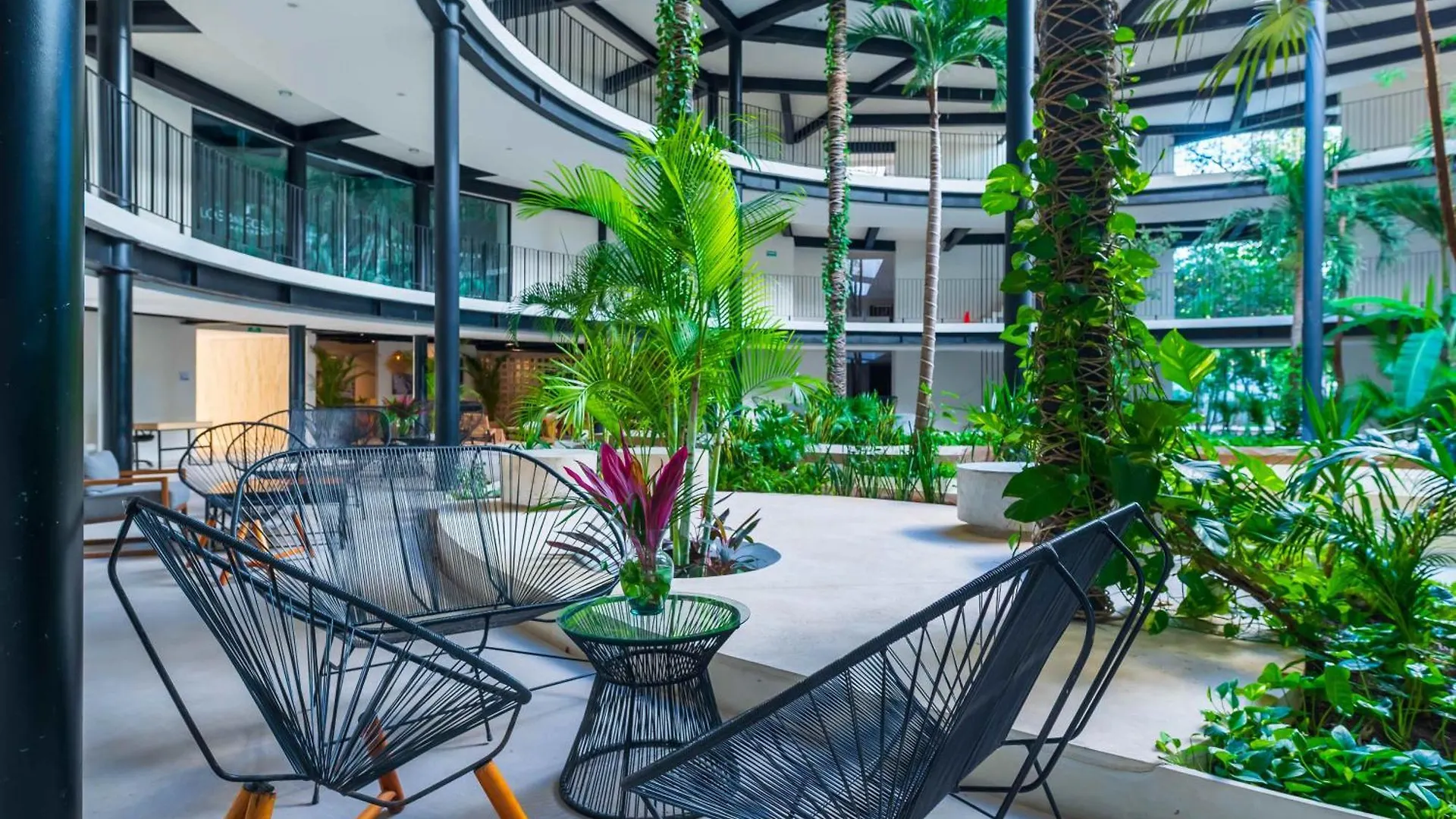 Apartment Panoramic By Alegria Rentals And Sandy Powerful Tulum